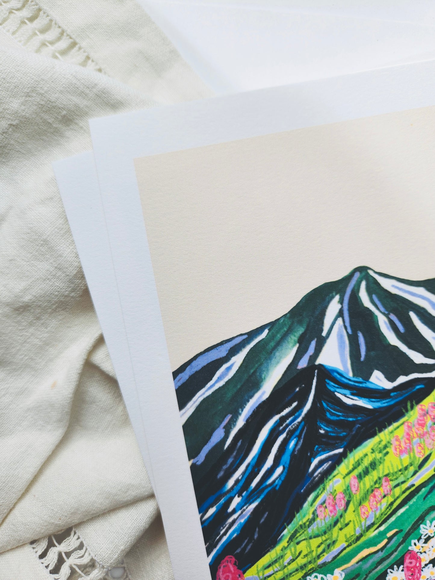 Mt Rainier National Park Art Print